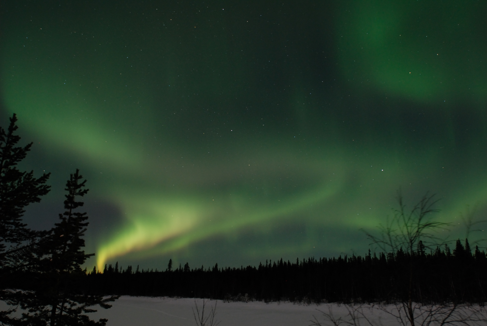 Out and About: Filming the Northern Lights