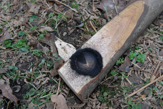 notch of the bow drill set full of black dust, smouldering