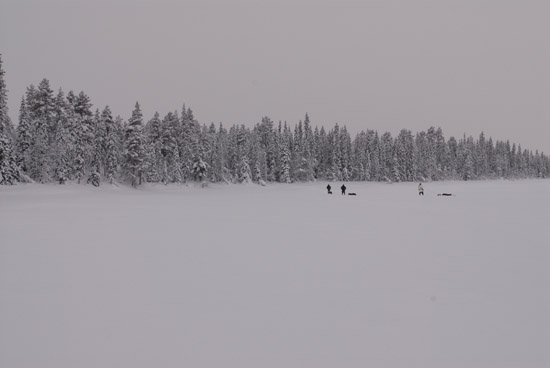 Travelling in the Northern Forest.