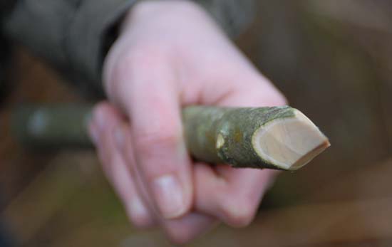 Three-sided point of the tent peg