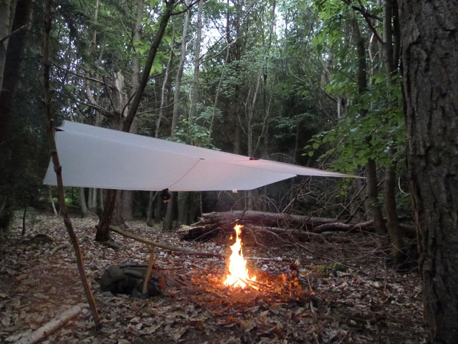 A tarp and a fire provide refuge in the woods.