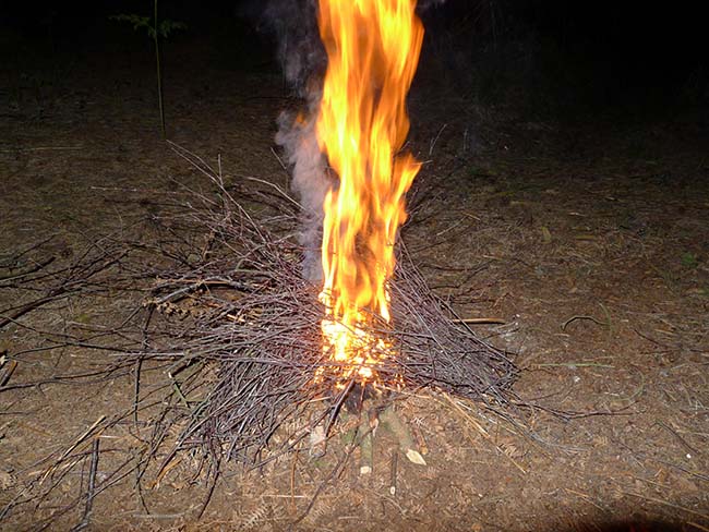 Firelighting with cat-tail, bracken and birch twigs