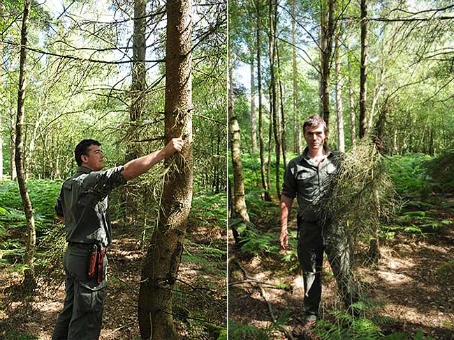 How to gather kindling for a camp fire