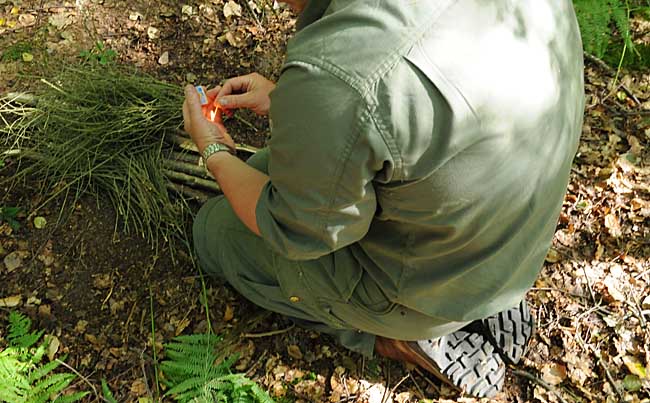 Lighting a campfire with one match - shelter your flame