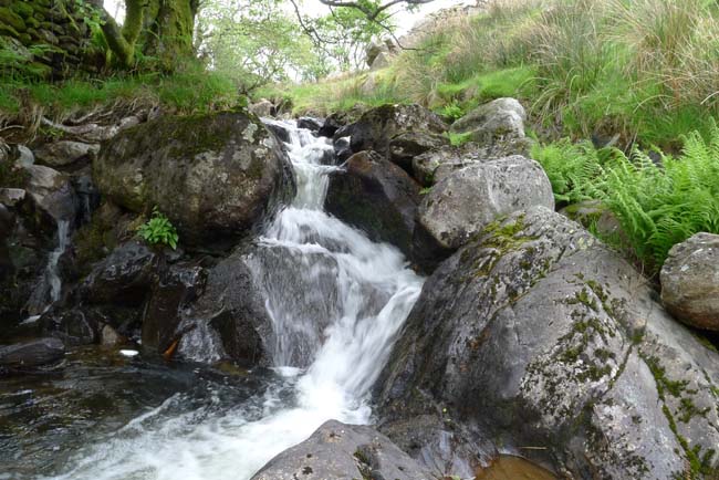 Fresh Water Stream