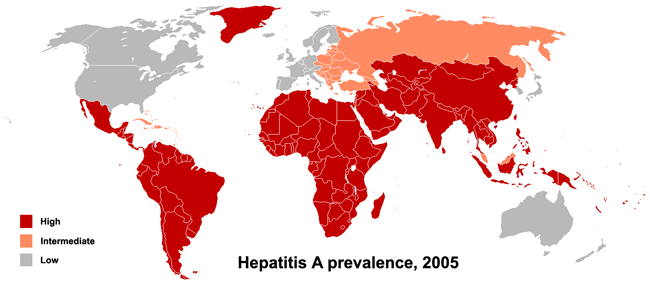 Hepatitis A virus prevalence in 2005