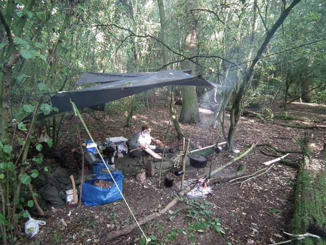 Woodland Camping September 2011