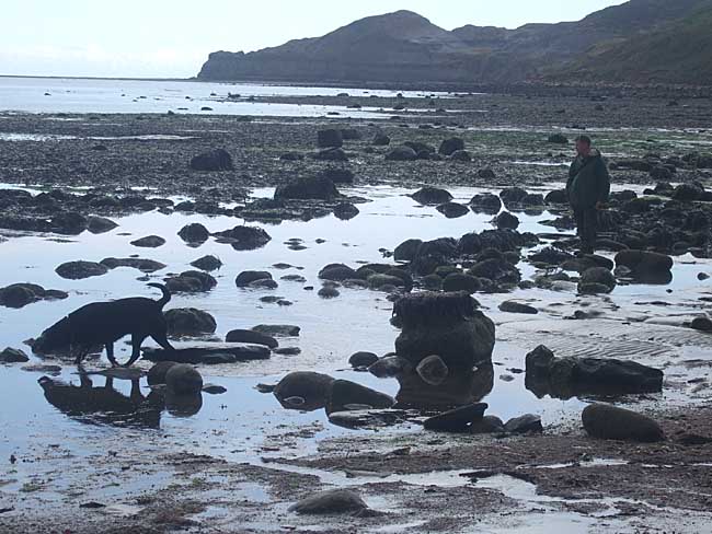 Paul and Winston beach combing