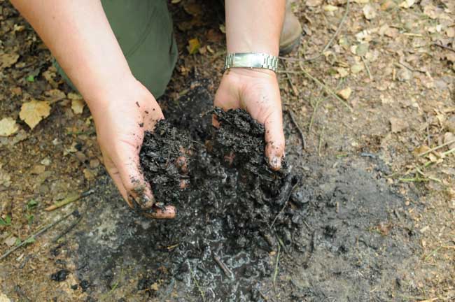Leave no trace: Picking up the cold damp charcoal from the campfire