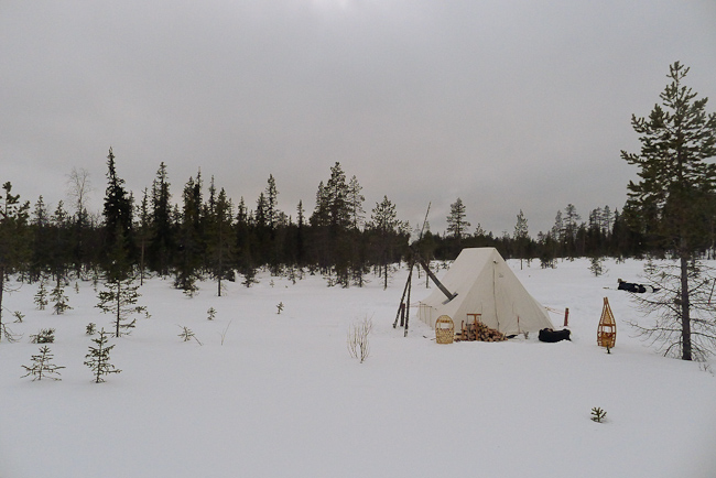 Snowtrekker heated tent and stove in the boreal forest in winter.