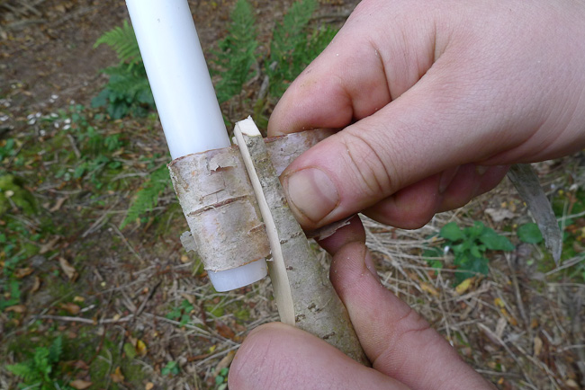 Adjusting the birch bark so the handle is held tightly