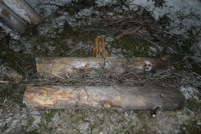 Fire lay with large logs either side.