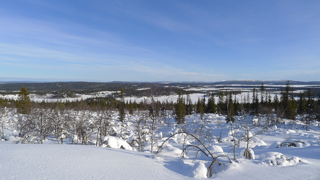 Winter landscape in northern Sweden from above the tree line