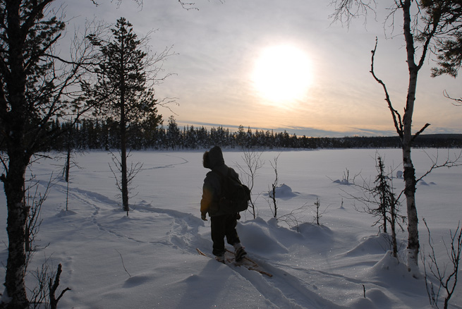 Walking on traditional snowshoes