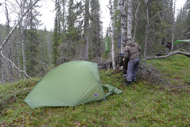 Tent in the northern forest