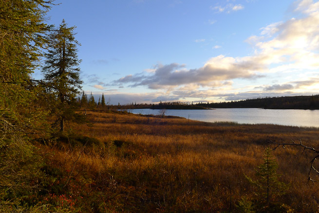 Small boreal lake