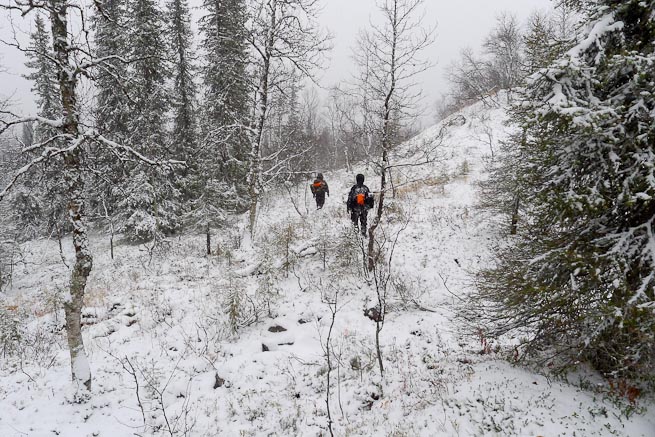 Men walking into the trees in snowy conditions in Sweden
