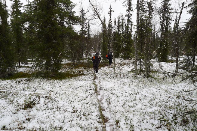 Walking a snowy trail in Sweden