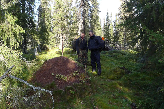 Abisko Trail Fleece - Boreal Life