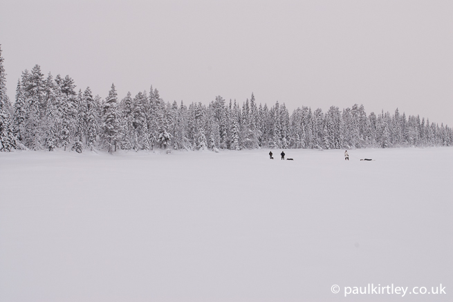 Men in snow a long way away with some trees and more snow