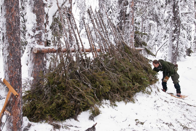 Winter Bush-Craft Shelter  Bushcraft, Survival techniques