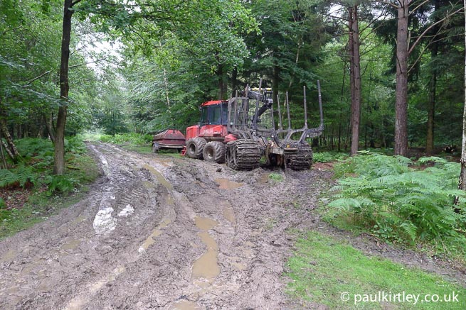 Le operazioni forestali fanno parte del reddito di un proprietario terriero in molti casi