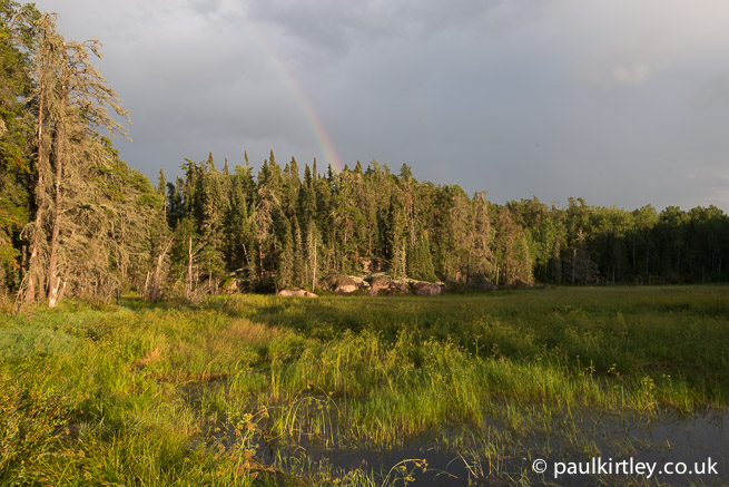 Rainbow over boreal forest