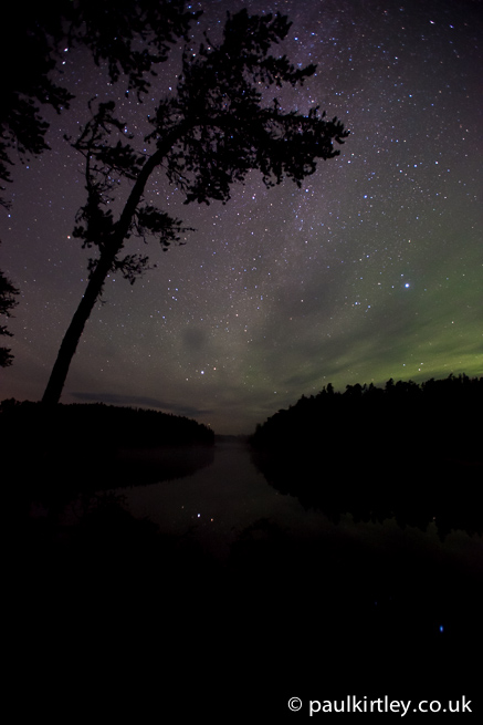 Jack-pine tree silhouetted by aurora and the milky way
