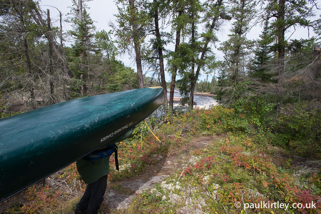 Carrying a canoe through the woods