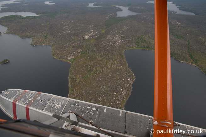 Burned out boreal forest from above