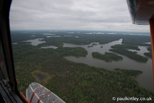 View of northern coniferoous forest from a float plane in flight