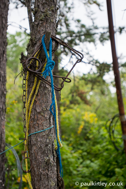 body grip trap hanging on a tree