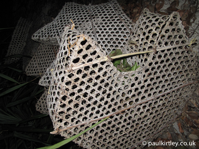 Hexagonal woven fish trap