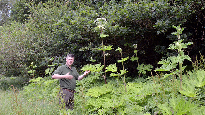 Giant Hogweed and Paul Kirtley