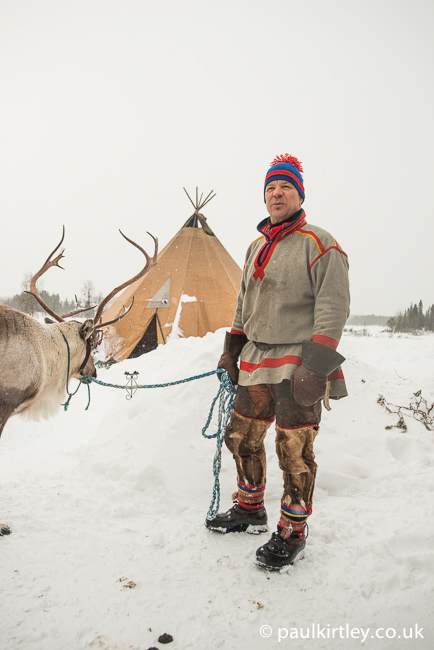 Sami man with domesticated reindeer on a lead