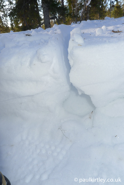 Impression of reindeer lower leg in snow