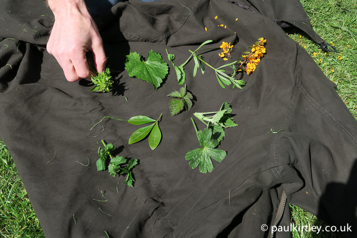 leaves and flowers arranged on John Renstens jackets