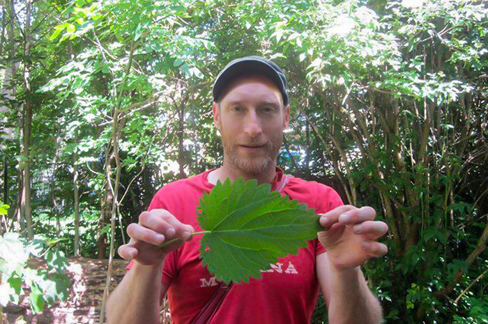 John Rensten with a large stinging nettle leaf
