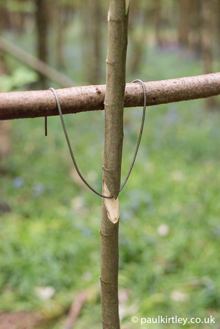 How To…. Carve and Use an Adjustable Pot Hanger – Bushcraft Days