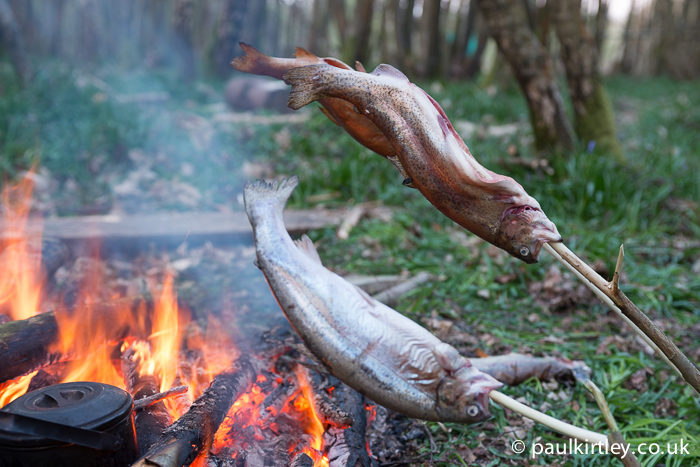 Trout cooking over a campfire