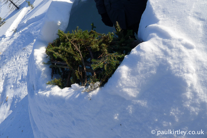 Snow Shelters: Why We Don't Build Igloos In The Forest