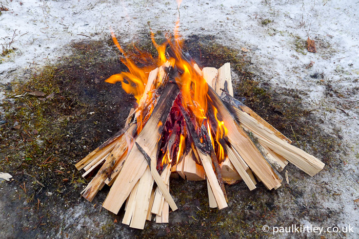 Split wood fire in the boreal forest in winter.