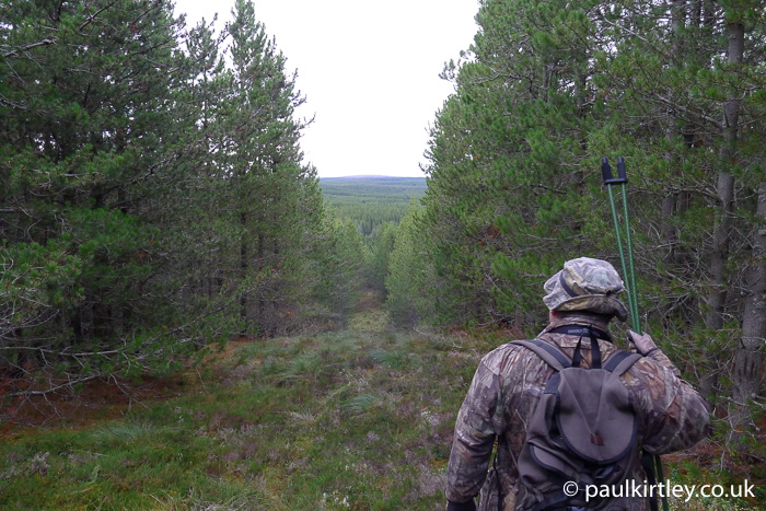 Man in camouflage clothing looking out over forested area of Scotland