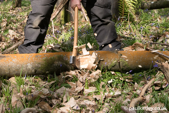 How to Carve a Beautiful Wood Sculpture From Fallen Tree Limbs