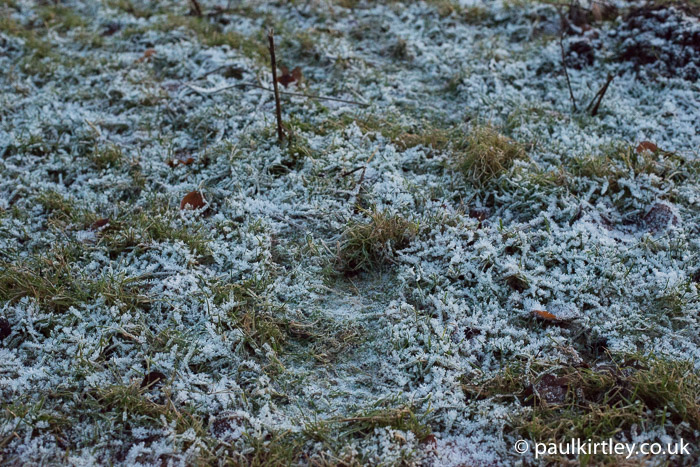 Footsteps in frosty grass