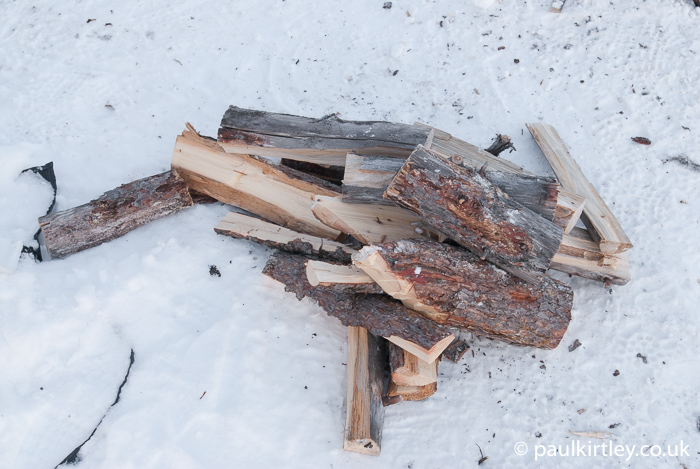 Northern forest firewood