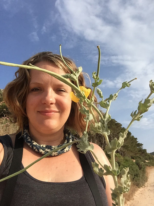 holding Glaucium flavum (Papaveraceae) - used for contusions in the Aegadian islands