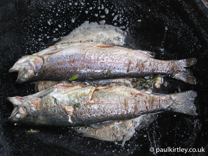 Pan fried trout in Muurikka pan