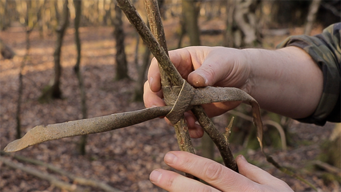 tying a clove hitch with a strip of sweet chestnut bark.