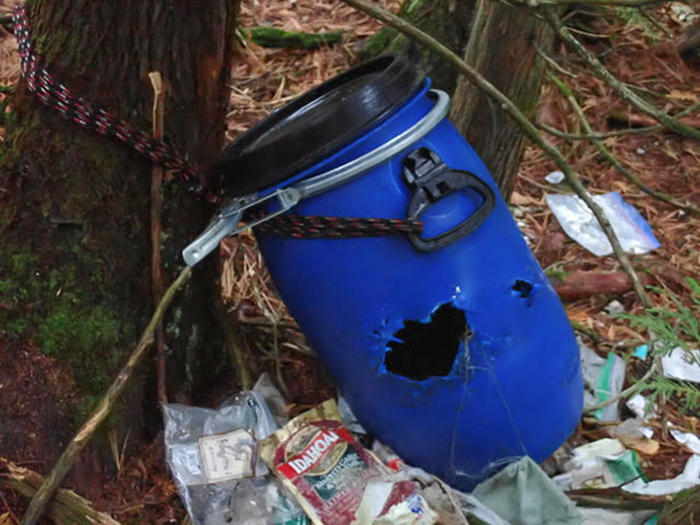 Blue food barrel chewed by bear
